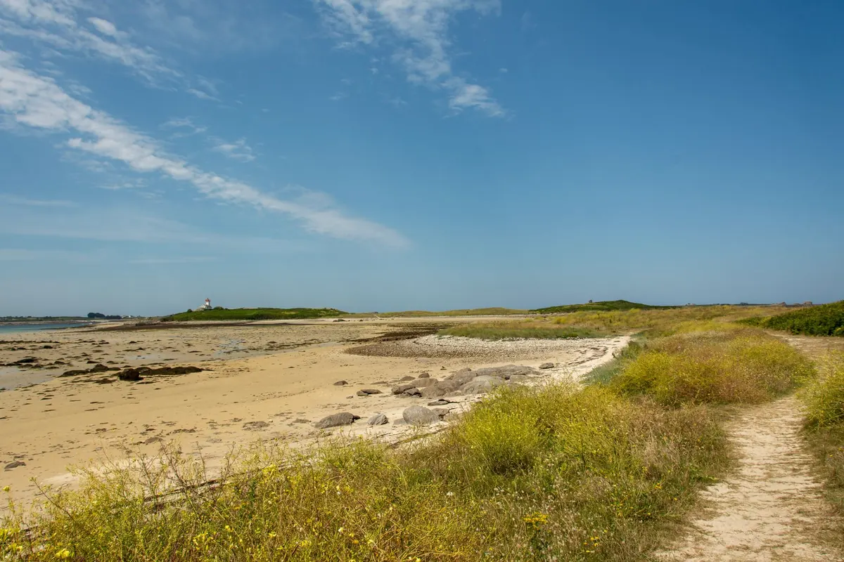 Beginner's Guide to Suffolk Coast Walks: Tides, Paths, and Safety Tips
