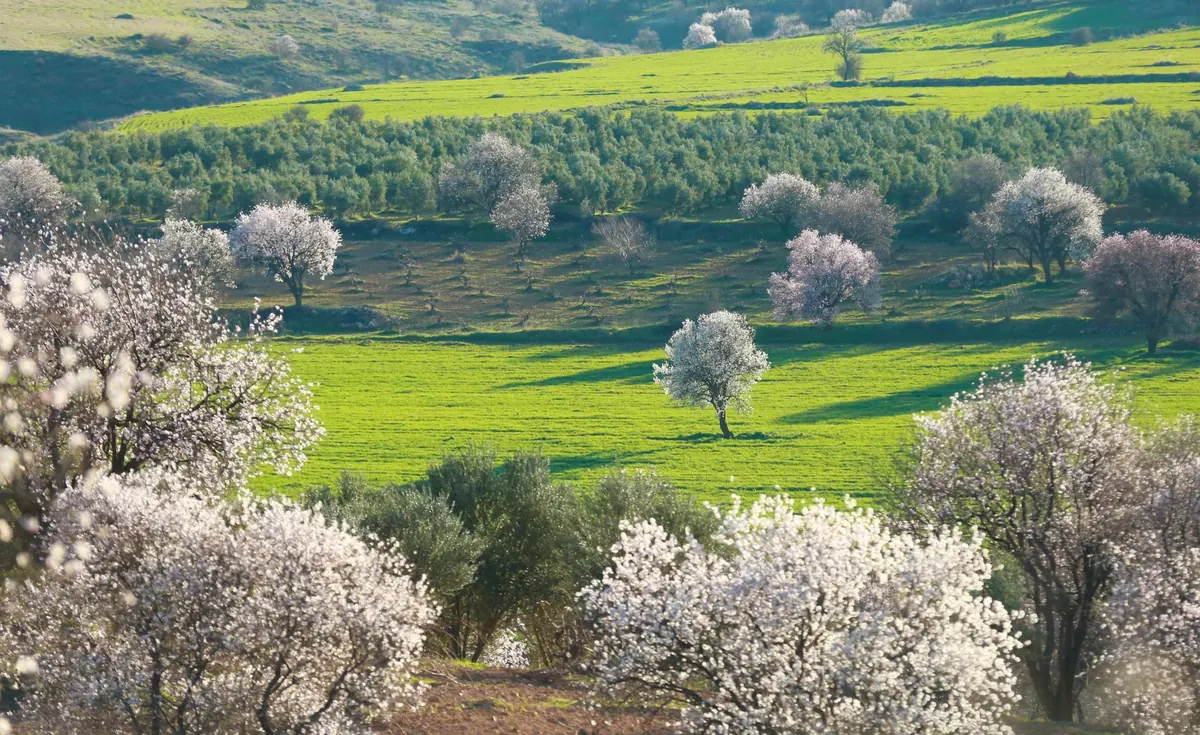 Seasonal Suffolk: A Month-by-Month Guide to Local Events and Traditions