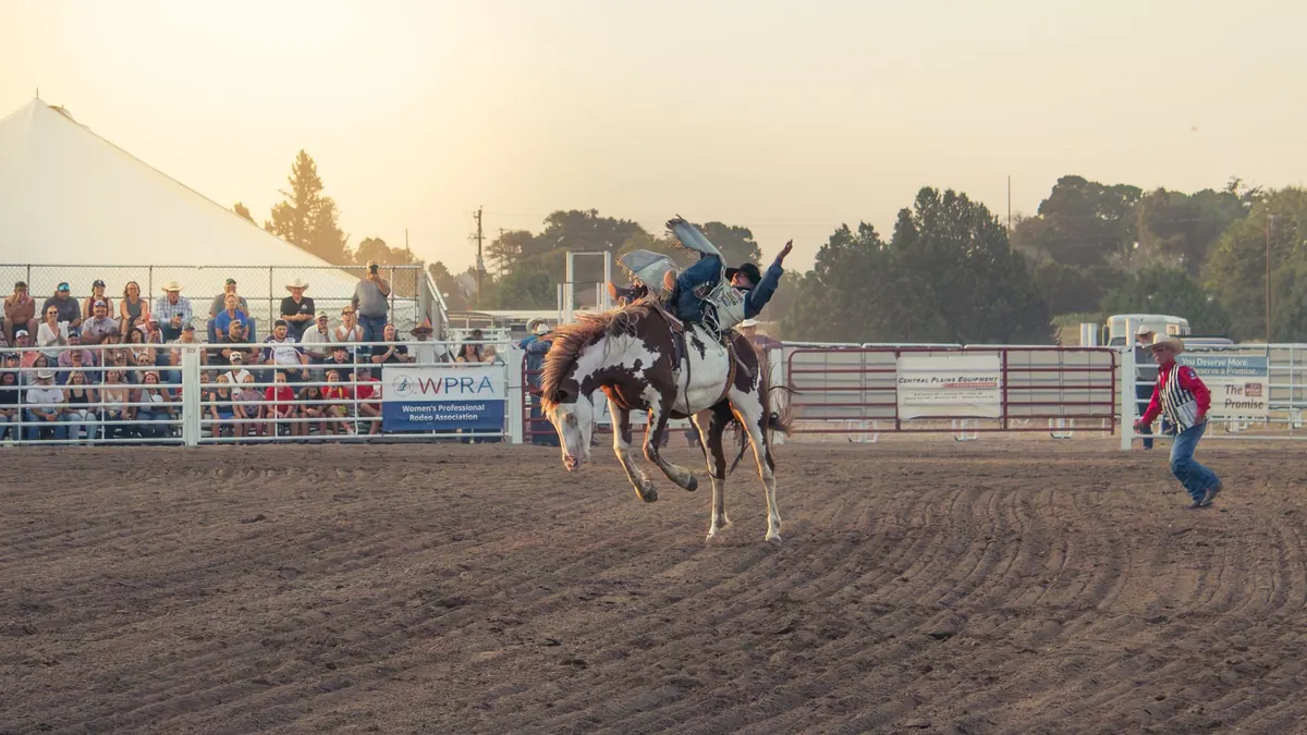 Your First Suffolk Country Show: A Checklist for Tickets, Parking, and What to Bring